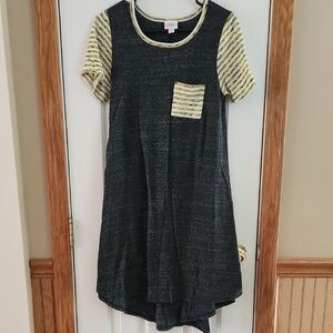 Lularoe Carly Striped Sleeve Pocket Dress